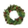 Northlight 24" Red Berry And Pine Cone Artificial Christmas Wreath, Unlit