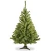 4 Ft. Unlit Kincaid Spruce Artificial Christmas Tree