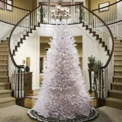 7ft. Unlit Dunhill® White Fir Artificial Christmas Tree -Northlight Sale Store D205064S 12