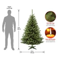 6ft. Unlit Kincaid Spruce Artificial Christmas Tree -Northlight Sale Store D205079S 4