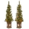 4ft. Pre-Lit Lehigh Valley Pine Entrance Trees With Clear Lights, Set Of Two