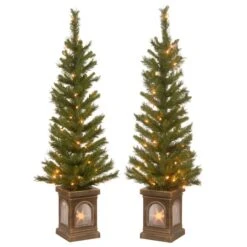 4ft. Pre-Lit Lehigh Valley Pine Entrance Trees With Clear Lights, Set Of Two