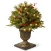 24" Pre-Lit Feel Real® Colonial Artificial Christmas Porch Bush, Clear Lights