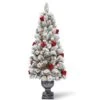 5ft. Pre-Lit Snowy Bristle Pine Artificial Christmas Entrance Tree, Clear Lights