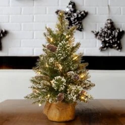 2ft. Pre-lit Glittery Bristle® Pine & Burlap Artificial Christmas Tree, Warm White LED Lights -Northlight Sale Store D206235S 2