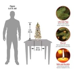 2ft. Pre-Lit Snowy Downswept Forestree With Metal Plate, Clear Lights -Northlight Sale Store D206324S 14