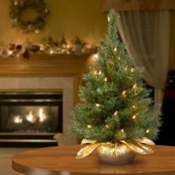 24" Pre-Lit Majestic Fir Tree In Gold Cloth Bag, Clear Lights -Northlight Sale Store D206330S 12