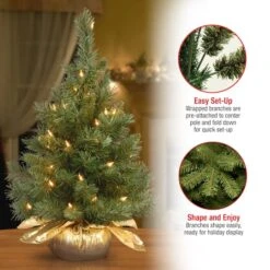 24" Pre-Lit Majestic Fir Tree In Gold Cloth Bag, Clear Lights -Northlight Sale Store D206330S 16