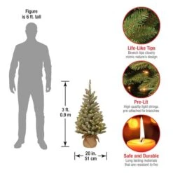 3ft. Snowy Concolor Fir With Snowy Pinecones Artificial Christmas Tree In Burlap Base, Warm White LED Lights 9 3ft. Snowy Concolor Fir With Snowy Pinecones Artificial Christmas Tree In Burlap Base, Warm White LED Lights -Northlight Sale Store D206345S 4