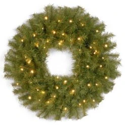 24" Norwood Fir Wreath With Warm White LED Lights
