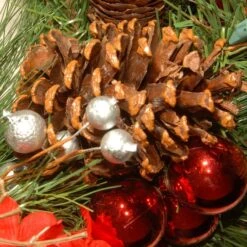 24" Decorative Collection Hydrangea Wreath With Cones, Red Berries & 50ct. Soft White Battery Operated LED Lights With Timer -Northlight Sale Store D206595S 14