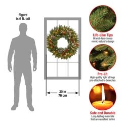 30" Frosted Berry Wreath With 100ct. Clear Lights -Northlight Sale Store D206605S 4