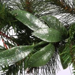 30" Frosted Pine Berry Collection Wreaths With Big White Edged Pine Cones, Red Berries, Silver Glittered Eucalyptus Leaves & Warm White LED Lights -Northlight Sale Store D206623S 15
