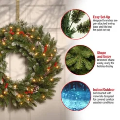 24" Frosted Berry Wreath With Clear Lights -Northlight Sale Store D206659S 15