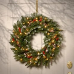 24" Frosted Berry Wreath With Clear Lights -Northlight Sale Store D206659S 2