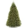 9ft. Pre-Lit PowerConnect™ Dunhill® Fir Artificial Christmas Tree, Dual Color® LED Lights