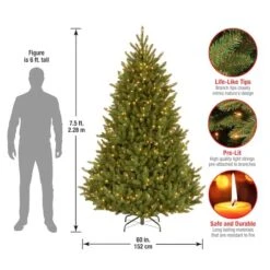7.5ft. Pre-Lit Natural Fraser Medium Fir Artificial Christmas Tree, Clear Lights -Northlight Sale Store D228375S 15