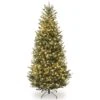 7.5ft. Pre-Lit Natural Fraser Fir Artificial Christmas Tree, Clear Lights