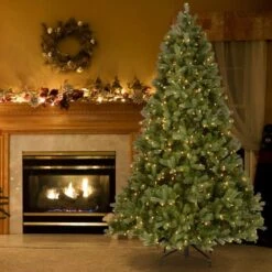 7.5ft. Pre-Lit Downswept Douglas® Fir Tree, Dual Color LED Lights -Northlight Sale Store D228432S 12