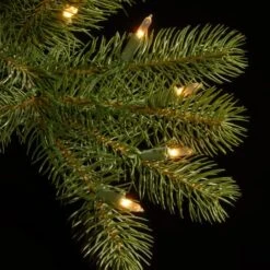 7.5ft. Pre-Lit Downswept Douglas® Fir Tree, Dual Color LED Lights -Northlight Sale Store D228432S 15