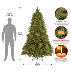 7.5ft. Pre-Lit Downswept Douglas® Fir Tree, Dual Color LED Lights -Northlight Sale Store D228432S 18