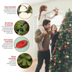 7.5ft. Pre-Lit Downswept Douglas® Fir Tree, Dual Color LED Lights -Northlight Sale Store D228432S 19