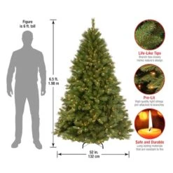 6.5ft. Pre-Lit Winchester Pine Artificial Christmas Tree, Clear Lights -Northlight Sale Store D228588S 4