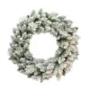 24" Flocked Spruce Wreath