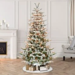 7.5ft. Pre-Lit Aspen Fir Artificial Christmas Tree, Clear Lights -Northlight Sale Store D248396S 25