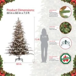 7.5ft. Pre-Lit Aspen Fir Artificial Christmas Tree, Clear Lights -Northlight Sale Store D248396S 7