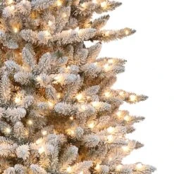 7.5ft. Pre-Lit Fraser Fir Artificial Christmas Tree, Clear Lights -Northlight Sale Store D248422S 22
