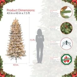 7.5ft. Pre-Lit Fraser Fir Artificial Christmas Tree, Clear Lights -Northlight Sale Store D248422S 6