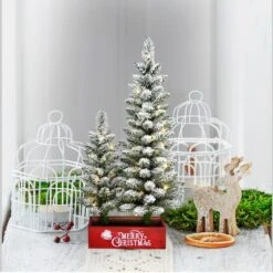 2ft. & 3ft. Pre-Lit Artificial Potted Christmas Trees, Warm White LED Lights -Northlight Sale Store D248486S 2