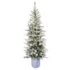 6ft. Pre-Lit Flocked Arctic Fir Pencil Artificial Christmas Tree, Warm White LED Lights