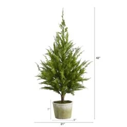 3.5ft. Unlit Cedar Pine Natural Look Artificial Christmas Tree -Northlight Sale Store D251284S 2