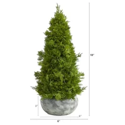 18" Unlit Cypress Cone Artificial Christmas Tree In Decorative Planter 6 18" Unlit Cypress Cone Artificial Christmas Tree In Decorative Planter -Northlight Sale Store D251285S 2