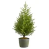 3ft. Unlit Norfolk Island Pine Artificial Potted Christmas Tree
