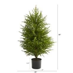 3.5ft. Unlit Norfolk Island Pine Natural Look Artificial Christmas Tree 7 3.5ft. Unlit Norfolk Island Pine Natural Look Artificial Christmas Tree -Northlight Sale Store D251288S 2