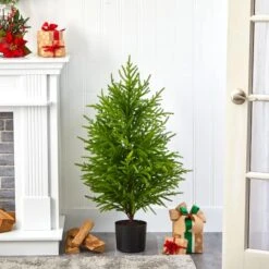 3.5ft. Unlit Norfolk Island Pine Natural Look Artificial Christmas Tree 8 3.5ft. Unlit Norfolk Island Pine Natural Look Artificial Christmas Tree -Northlight Sale Store D251288S 3