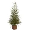 3ft. Unlit Alpine With Pinecones Artificial Potted Christmas Tree