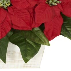 16.5" Potted Poinsettia In White Washed Planter 7 16.5" Potted Poinsettia In White Washed Planter -Northlight Sale Store D252168S 13