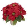 13" Potted Poinsettia With Ceramic Vase