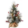 2ft. Pre-Lit Snowy Glacier Pine Artificial Christmas Tree, Warm White LED Lights