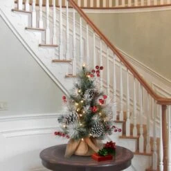 2ft. Pre-Lit Snowy Glacier Pine Artificial Christmas Tree, Warm White LED Lights -Northlight Sale Store D252341S 2