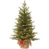 3ft. Pre-Lit Nordic Spruce® Artificial Christmas Tree, Warm White LED Lights
