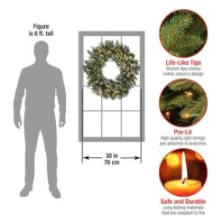 30" LED Cosmic Lights® Glittery Bristle Pine Wreath -Northlight Sale Store D252556S 17