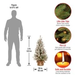 3ft. Pre-Lit Dunhill® Fir Artificial Christmas Tree, Warm White LED Lights 10 3ft. Pre-Lit Dunhill® Fir Artificial Christmas Tree, Warm White LED Lights -Northlight Sale Store D252580S 14