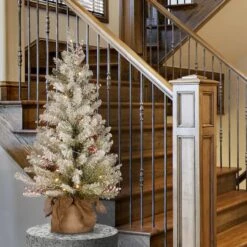 3ft. Pre-Lit Dunhill® Fir Artificial Christmas Tree, Warm White LED Lights 8 3ft. Pre-Lit Dunhill® Fir Artificial Christmas Tree, Warm White LED Lights -Northlight Sale Store D252580S 2