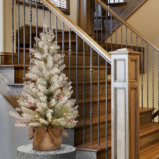 3ft. Pre-Lit Dunhill® Fir Artificial Christmas Tree, Warm White LED Lights 3 3ft. Pre-Lit Dunhill® Fir Artificial Christmas Tree, Warm White LED Lights - Image 3