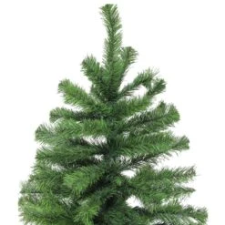 Northlight 8ft. Unlit Colorado Spruce Artificial Christmas Tree -Northlight Sale Store D253696S 2